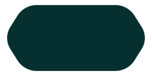 zartis case study slider active