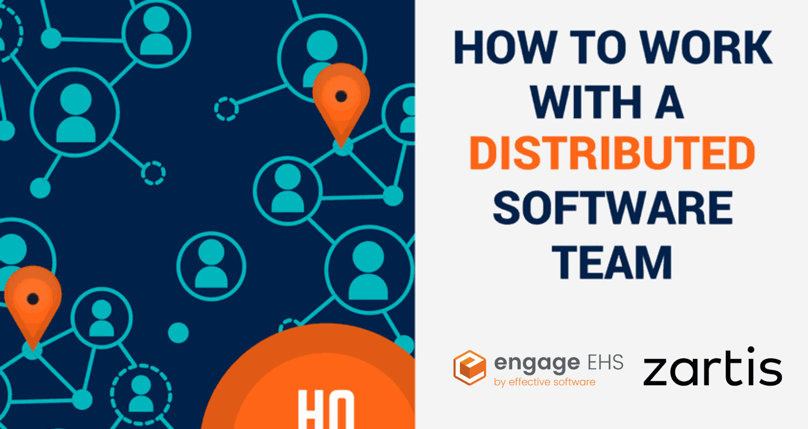 distributed software team