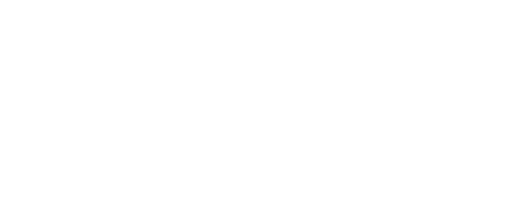 the springboard logo white