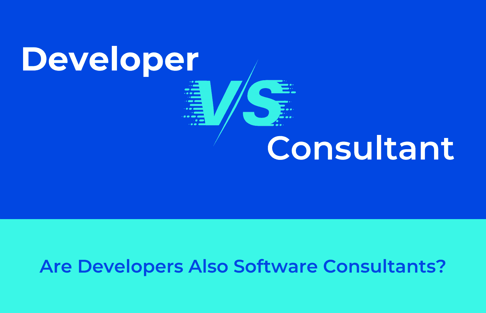 consultant vs developer