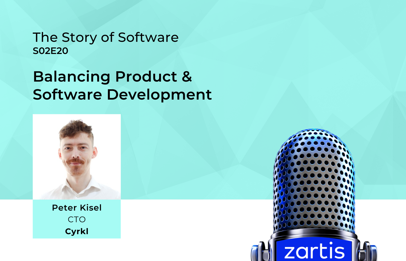 product development vs software development