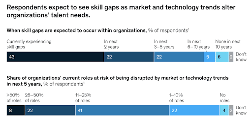 dedicated software developer skills gaps