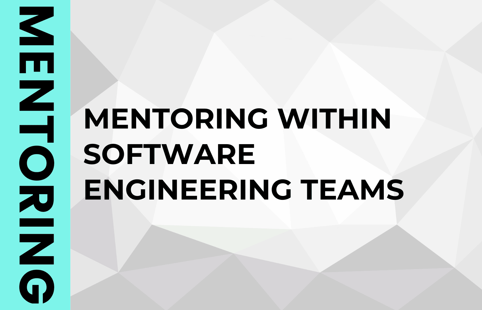 software engineer mentor