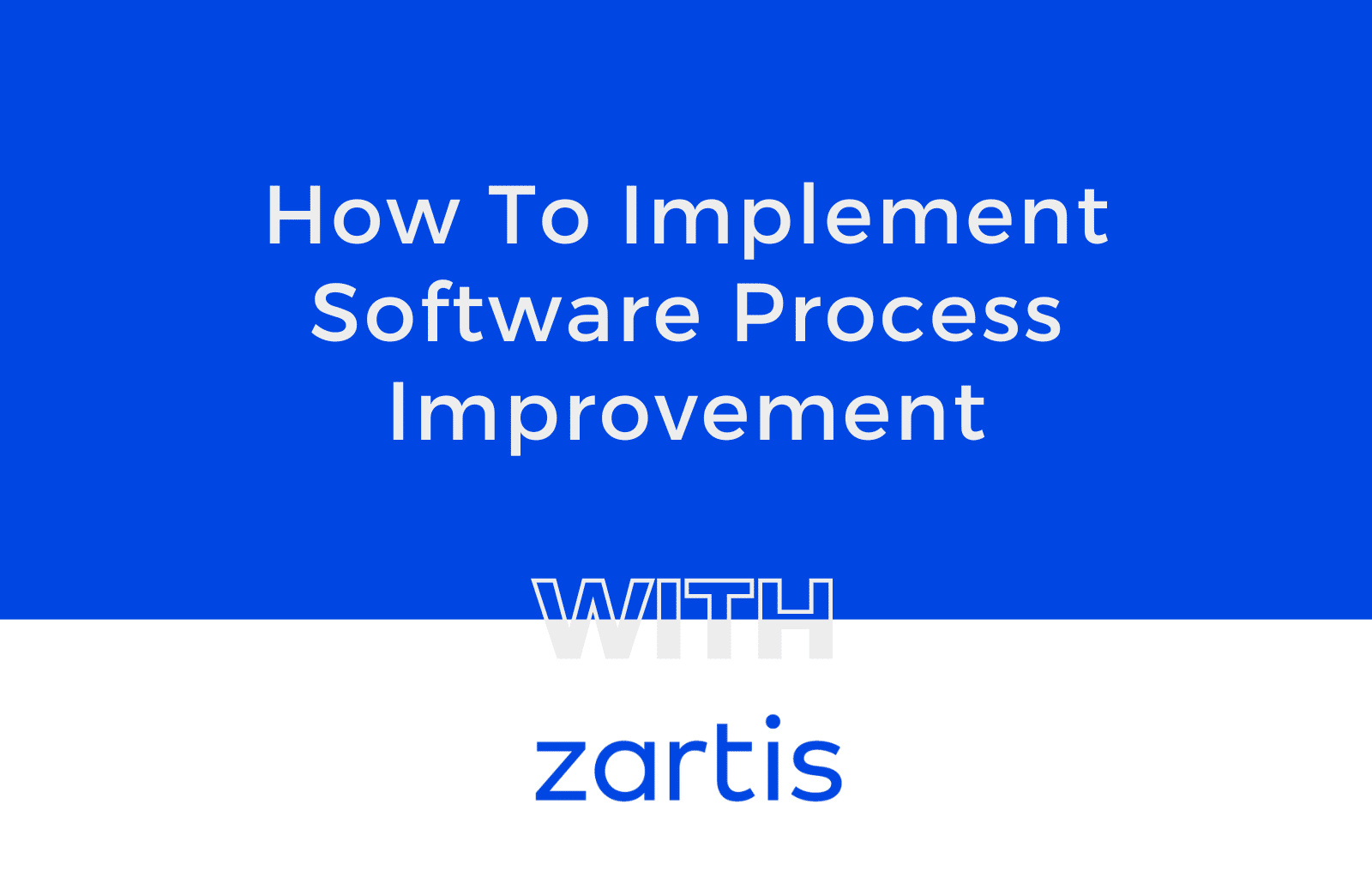 software process improvement services