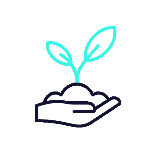 tree planting and environmental protection