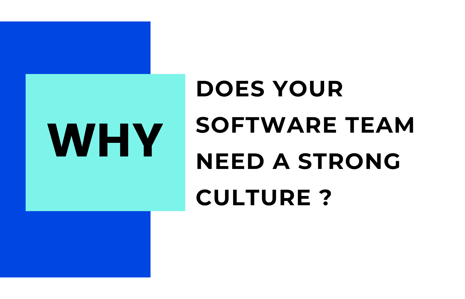 software culture