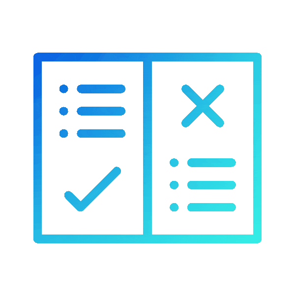 software security testing
