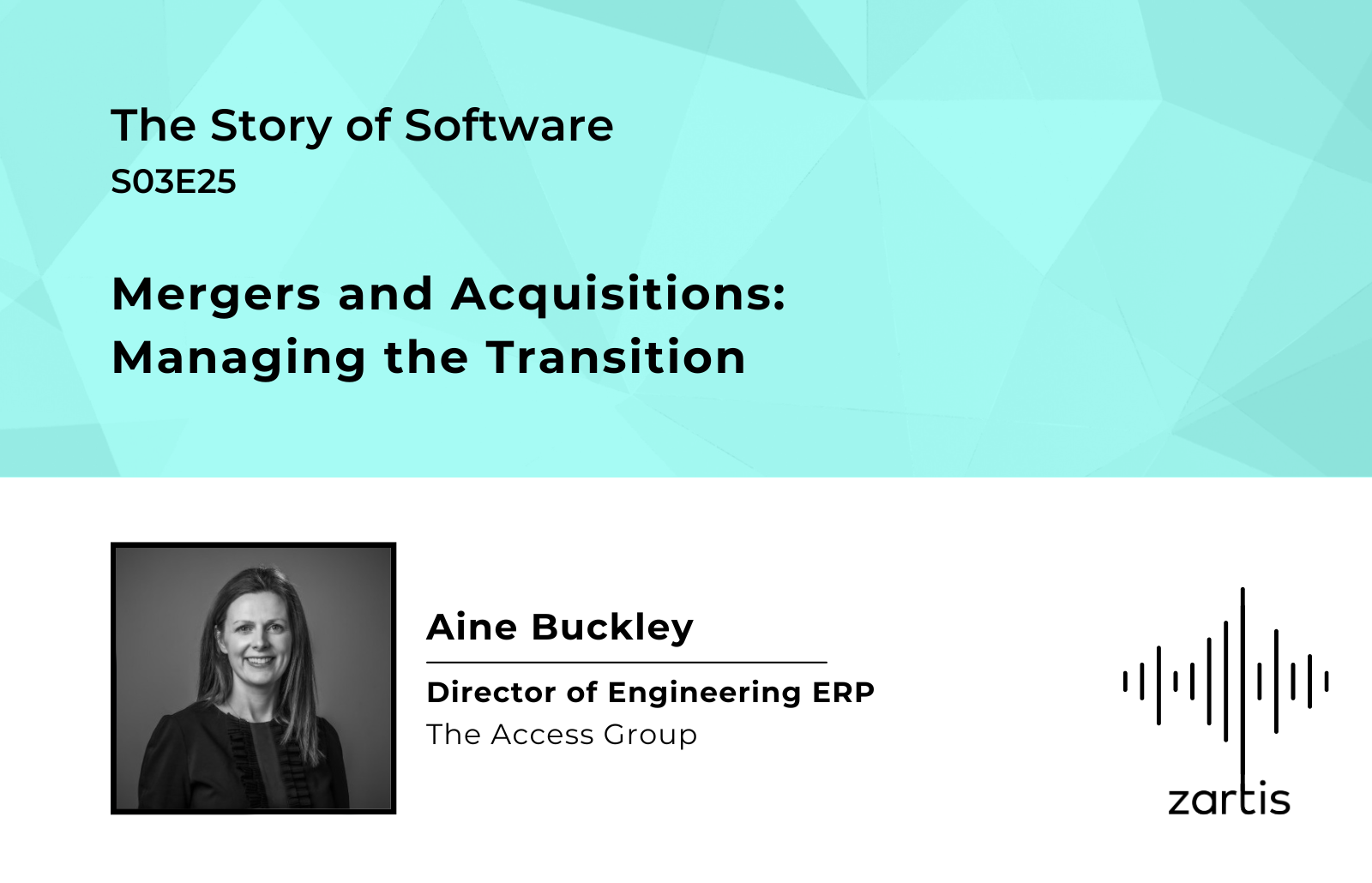 Mergers and Acquisitions: Managing the Transition – Story Of Software S03E25