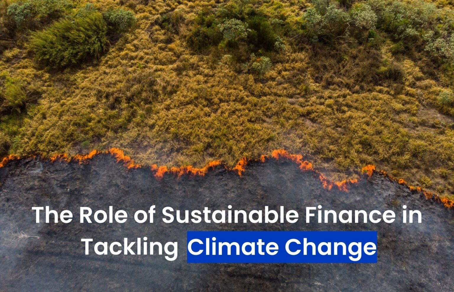 sustainable finance
