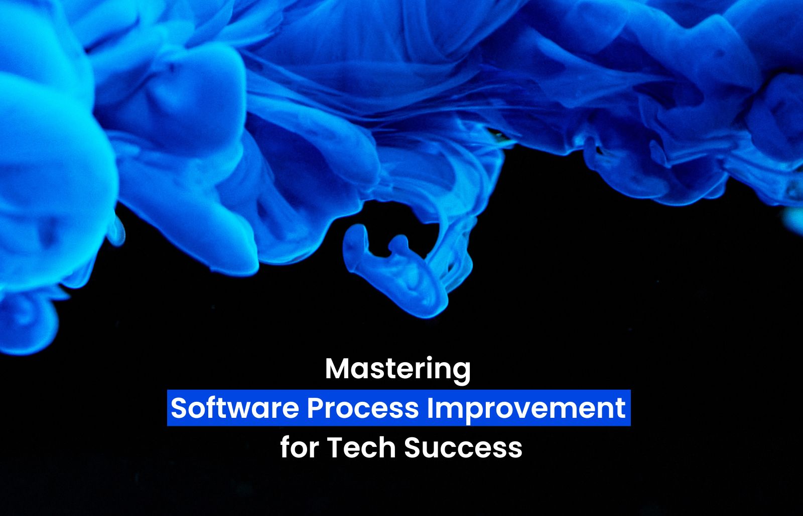 software process improvement (SPI)
