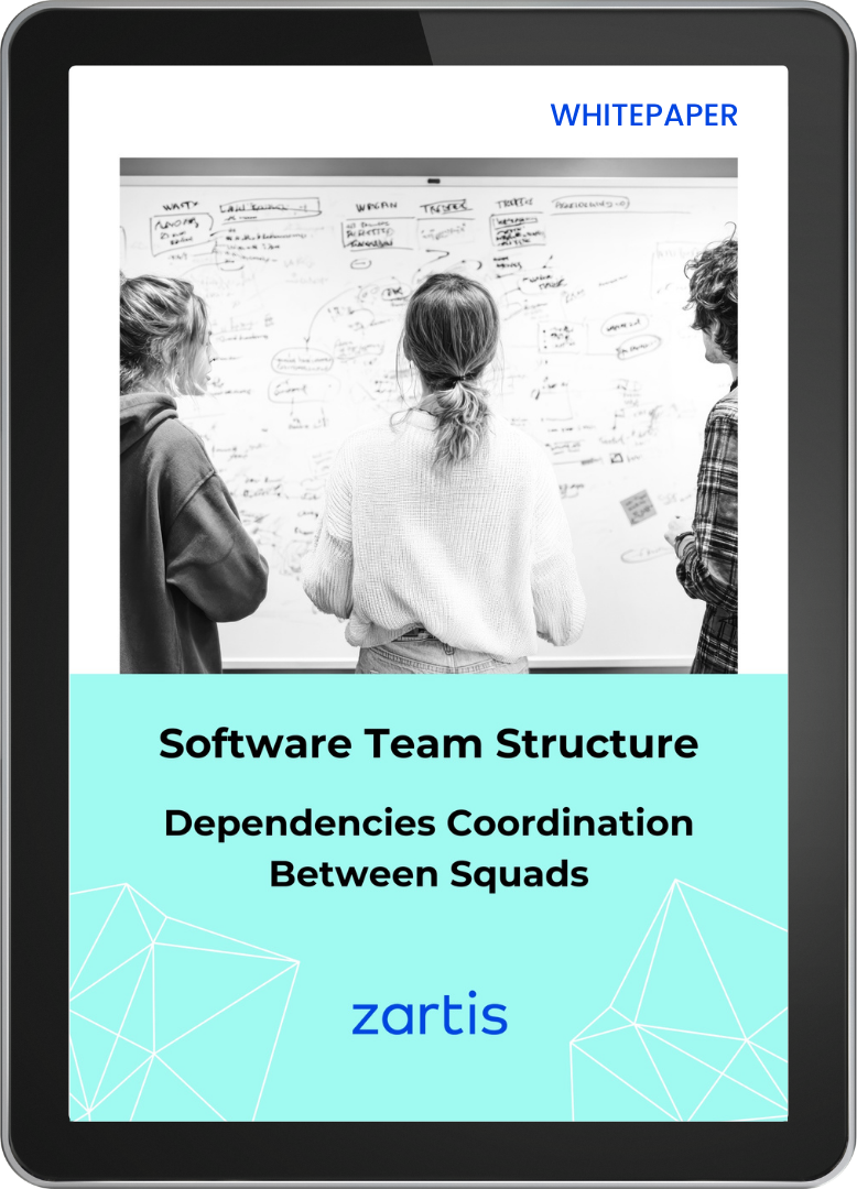 Software team structure whitepaper