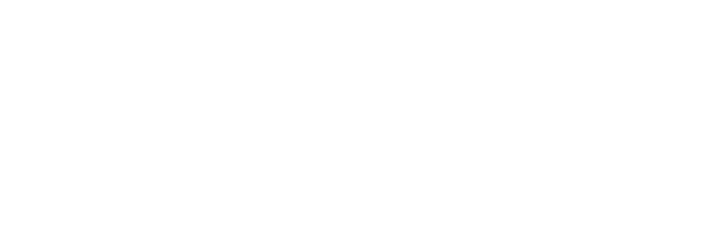 Zartis logo white