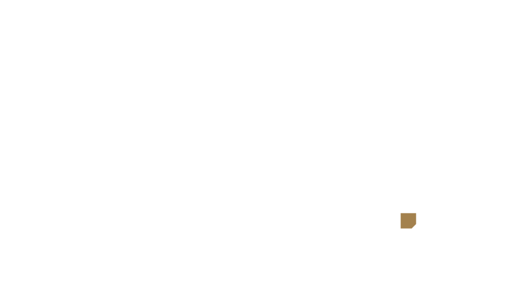 republic of work logo white